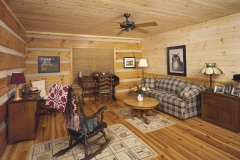 timberwright-home-in-saluda-nc_09