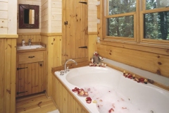 timberwright-home-in-saluda-nc_10