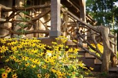 timberwright-in-mars-hill-nc_04